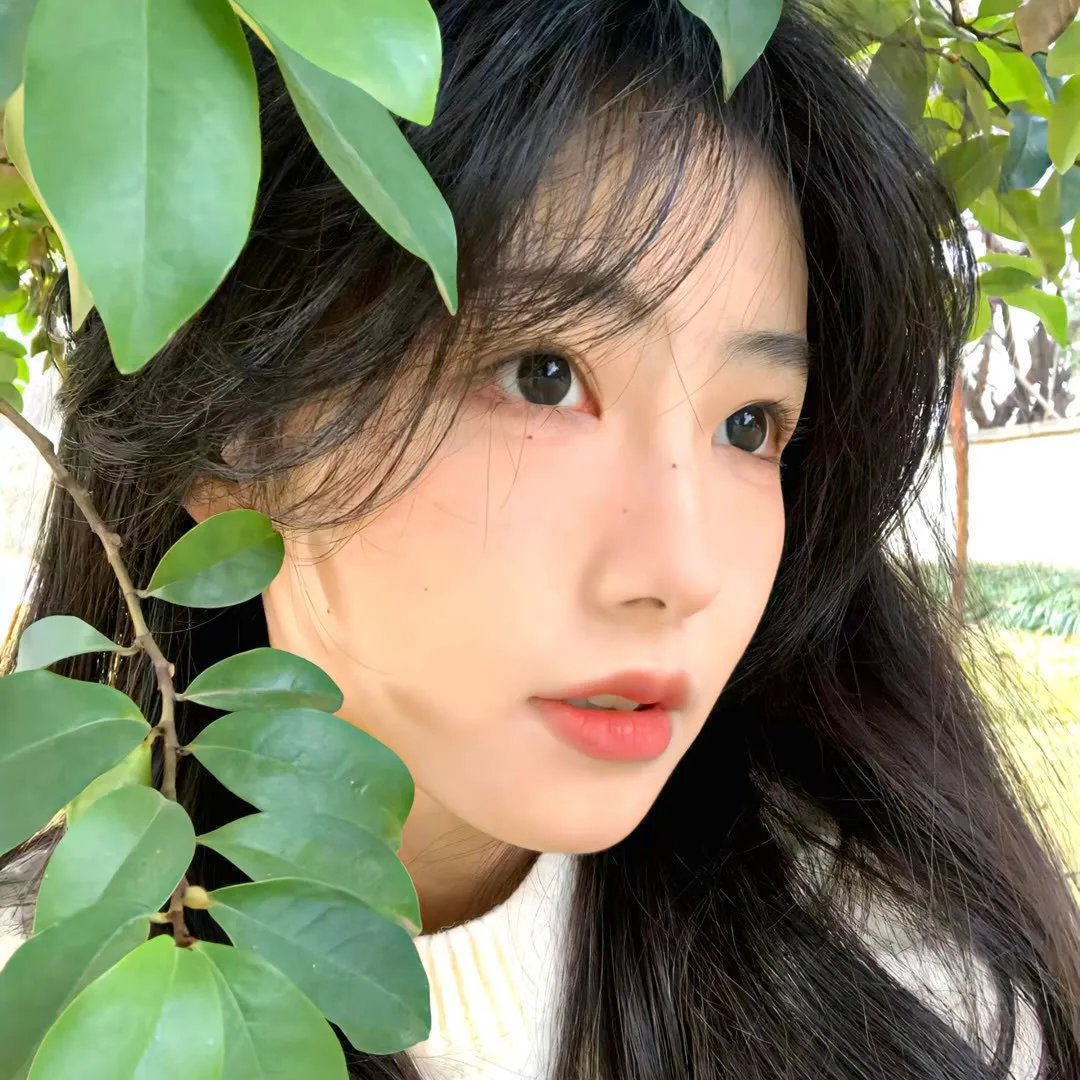 风月变